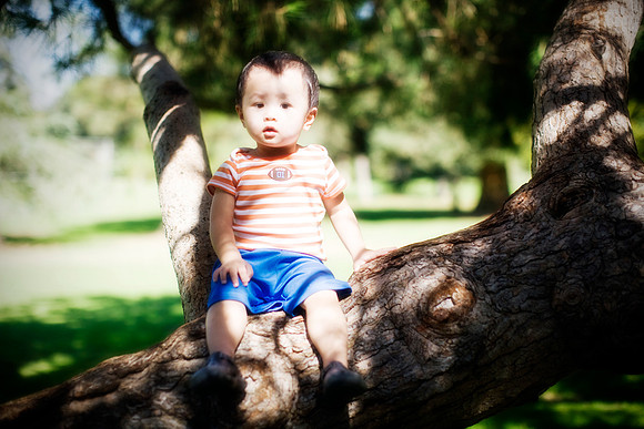 1 year 31 weeks